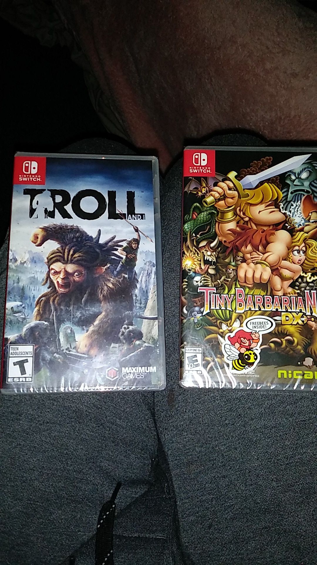 Nintendo switch games Troll and i and tiny barbarian dz