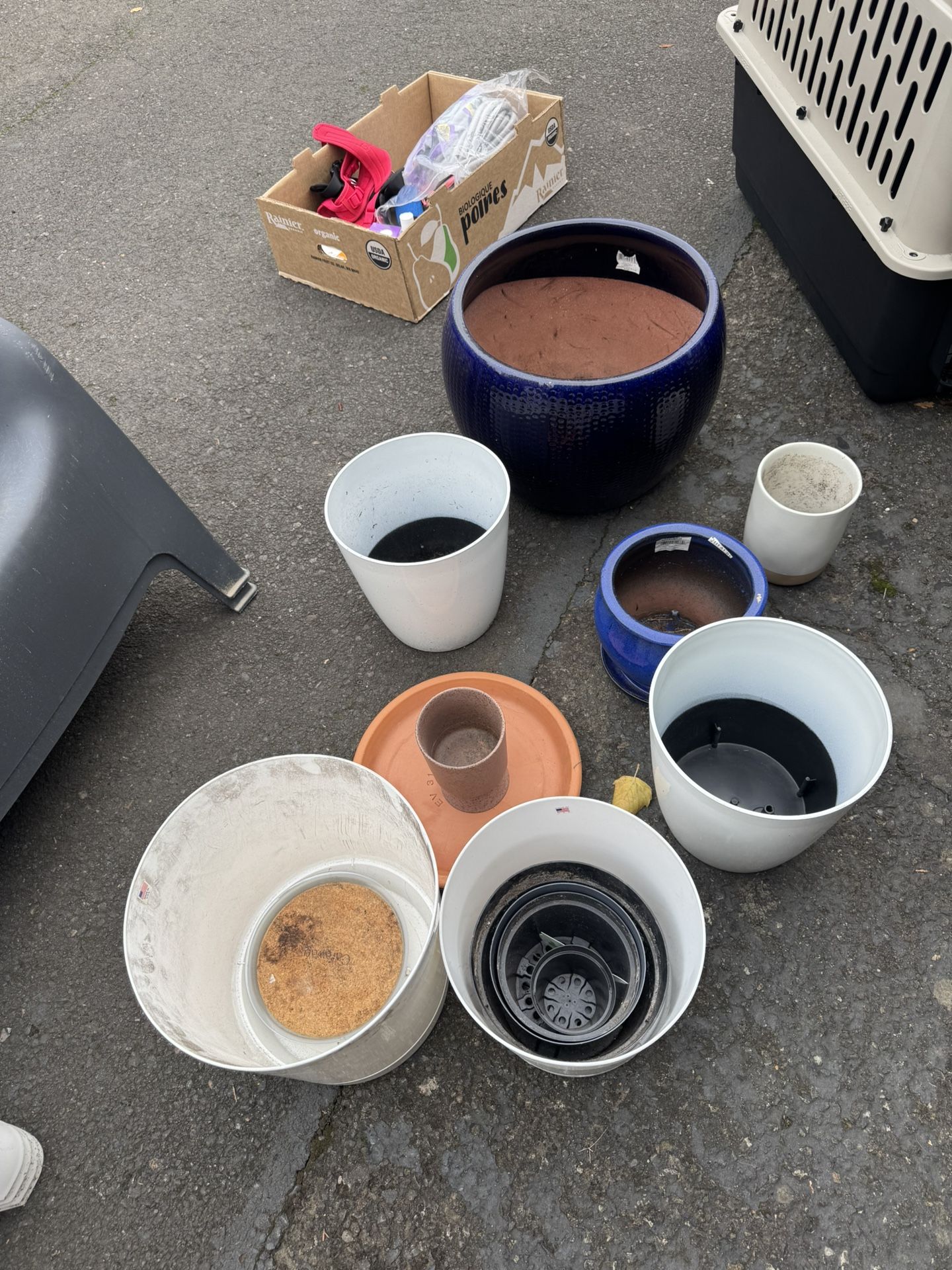 Flower Pots All To Go