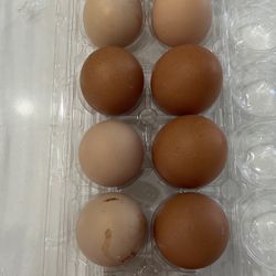 Fresh Organic Chicken Eggs