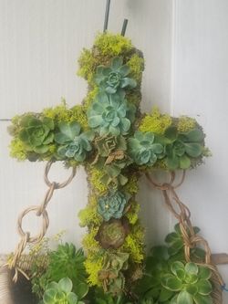 Moss cross with succulants