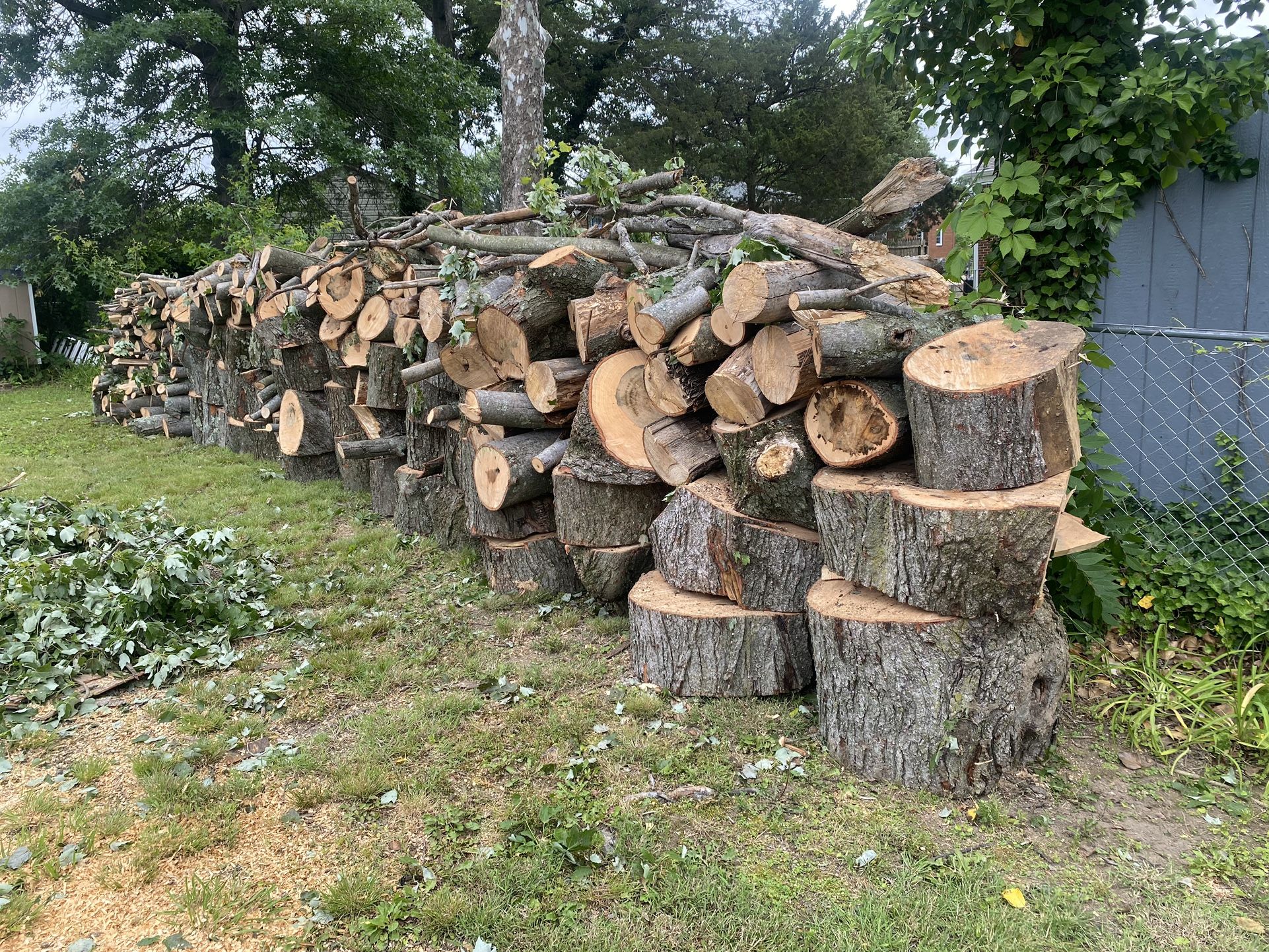 Wood For Sale
