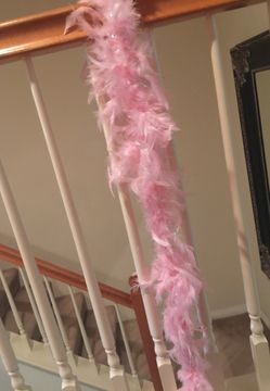 Pink 4ft feather boa costume