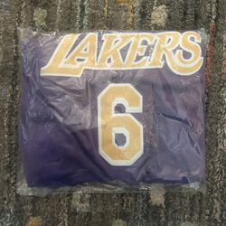 LeBron James #6 LA Jersey Lakers Los Angeles Purple Men’s XL