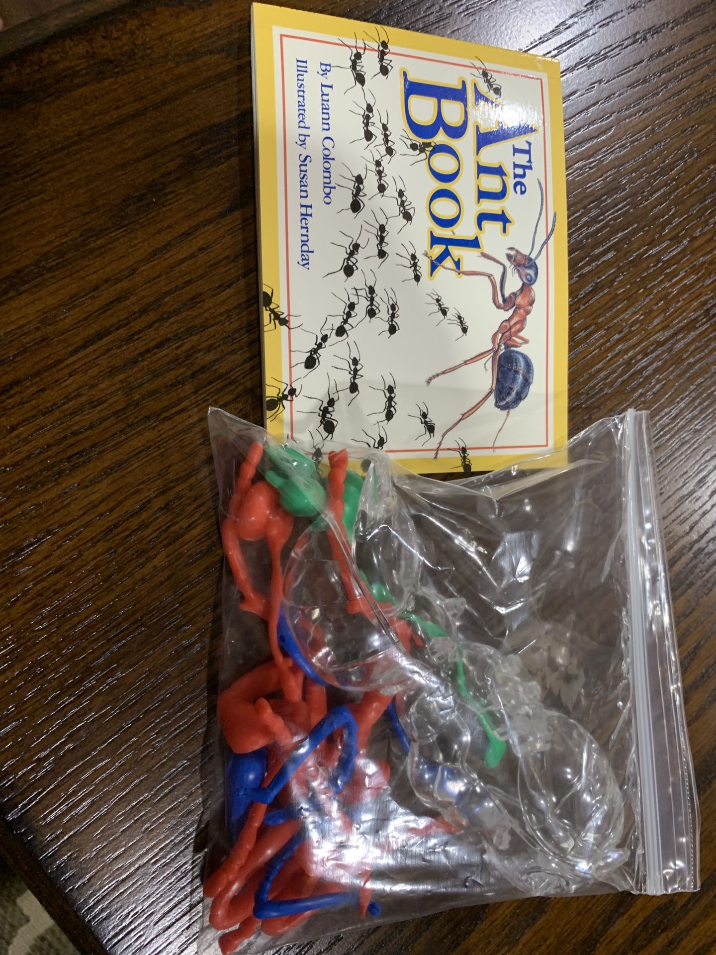 The Ant Book with Model by Luann Colombo