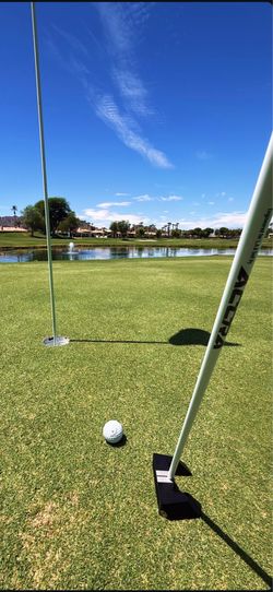 Lab golf putter