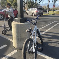 fixed 24 Inch Throne 