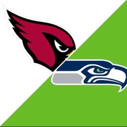 Arizona Cardinals Vs Seattle Seahawks Lower Level Row 9
