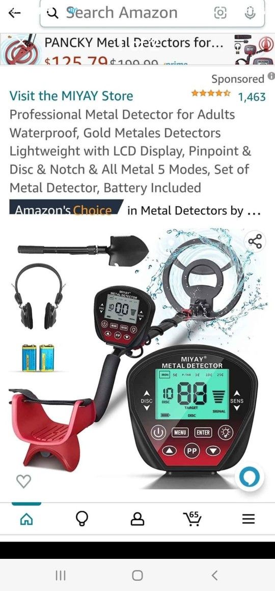 Metal Detector 