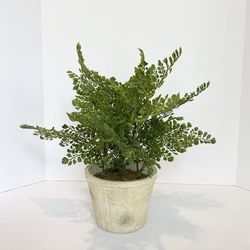 Artificial Maidern Hair Fern Plant in Beige Vintage Distressed Pot with Patina