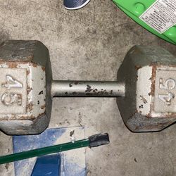 45lb Dumbbells (Pair)
