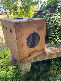 Cute handmade vintage wooden pet transport