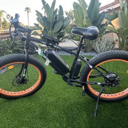 Ecotric Fat Tire E-Bike