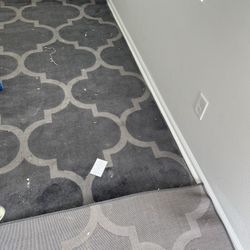 Carpet - Just Needs a Cleaning 