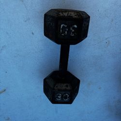 30lbs Dumbbell Just One Available 
