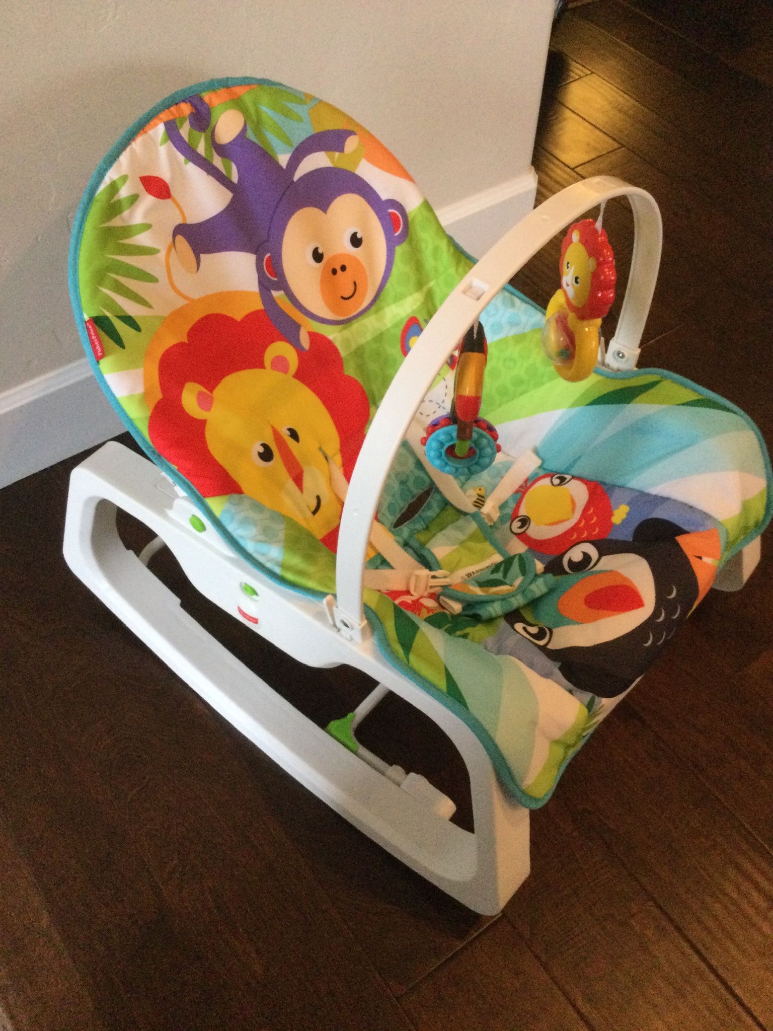 Fisher Price Infant To Toddler Rocker