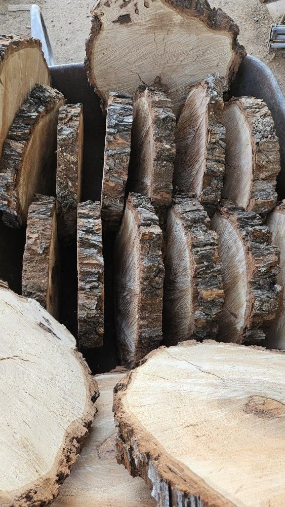 Natural Pecan Wood Slices