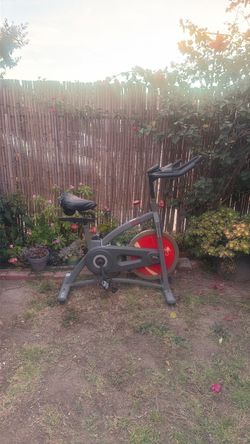 Sunny Stationary Bike
