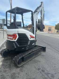 Bobcat