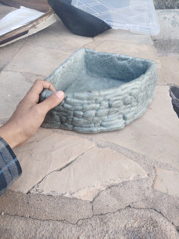 Large Reptile Bowl