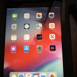 iPad 3 Mini 