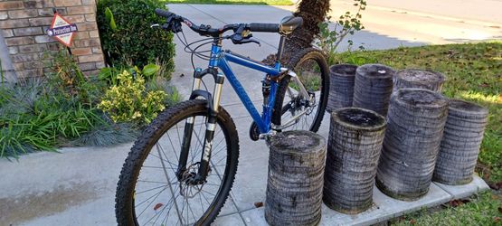 Turner Sultan