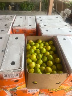Lime 🍋‍🟩 $20 Box