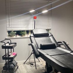 Beauty Chair (Electric W/ Remote)