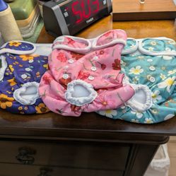 Dog Panties