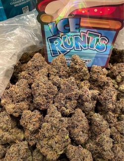 Herbs 🌿