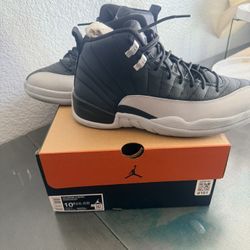 jordan 12s
