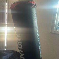 Century Punching Bag 