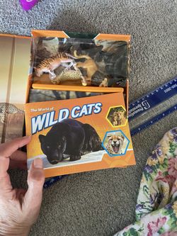 Little Plastic Wild Cats And Book