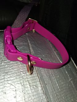 Pink puppy collar