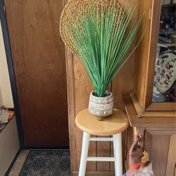 plant in vase