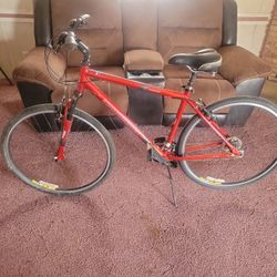 Diamondback Edgewood Large 19" Bike 