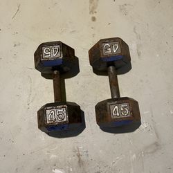 45lb Dumbbell Weights. Will Deliver.