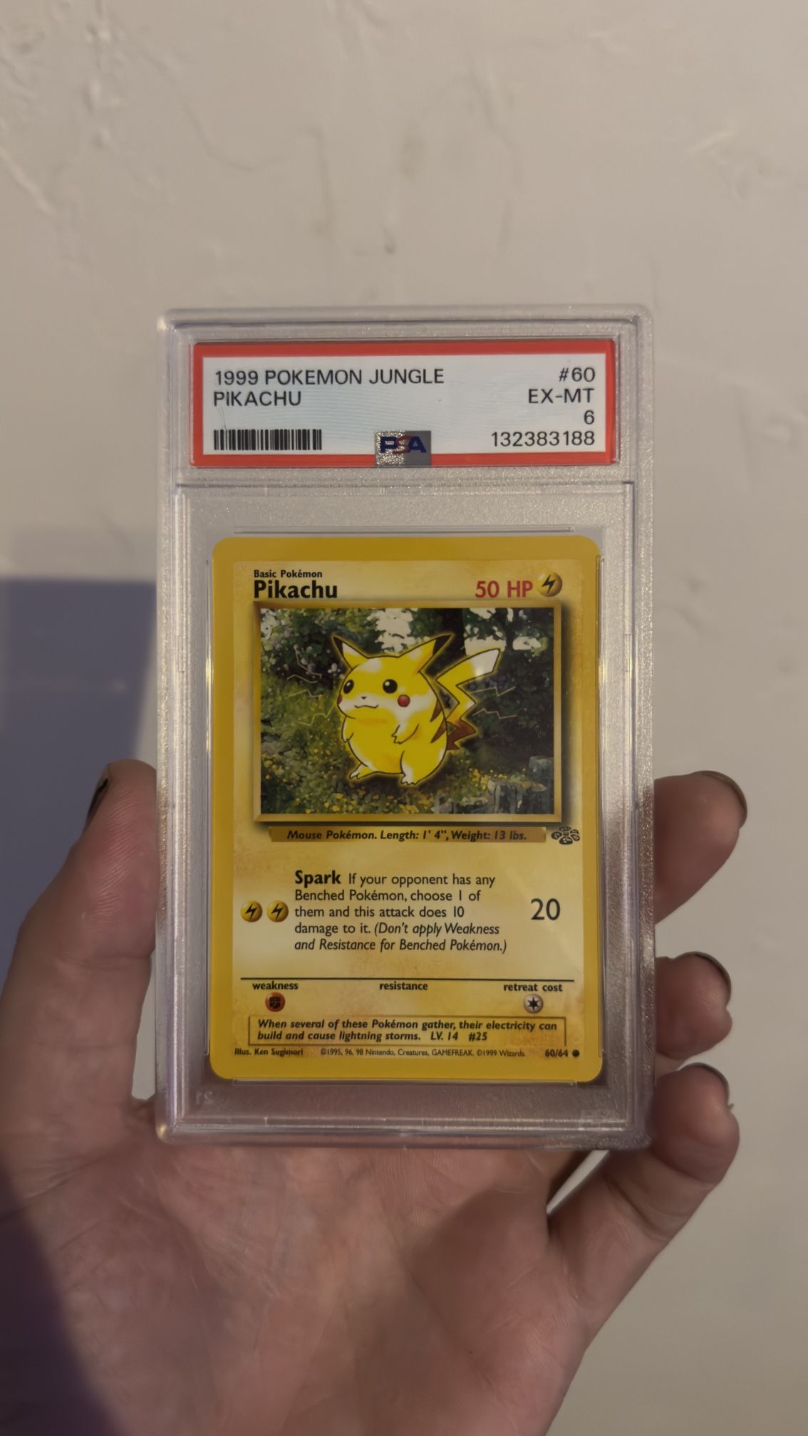 PSA 6 PIKACHU (1999 POKEMON JUNGLE)