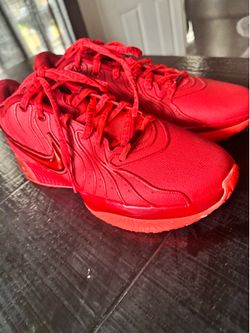 Nike LeBron James SZ9 1/2