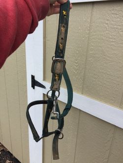 Horse halters