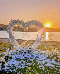 White flower arch, proposal..
