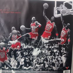MICHAEL JORDAN  POSTER NICE WILL MAINTAINED 