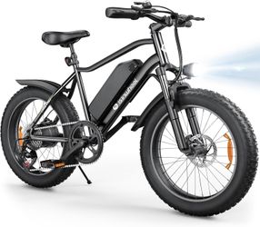 Electric Bike