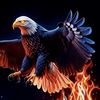 🐦‍🔥 PHOENIX 🐦‍🔥 