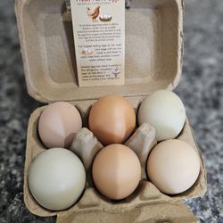 Fresh Eggs $3 Per 6pk