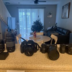 Sony A6400, A6000, Canon T6 And Sigma Lens 16mm