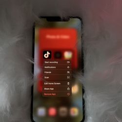 iPhone 11 Pro Max (downloaded Tiktok)