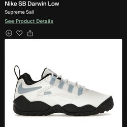 Nike SB Darwin Low White/Blue Size 8.5