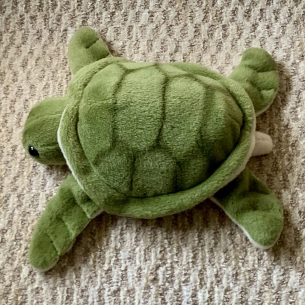 Stuffed Sea Turtle