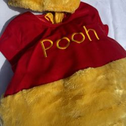 Winney Pooh Costume