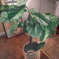 Beaut.3 Ft Faux Plant